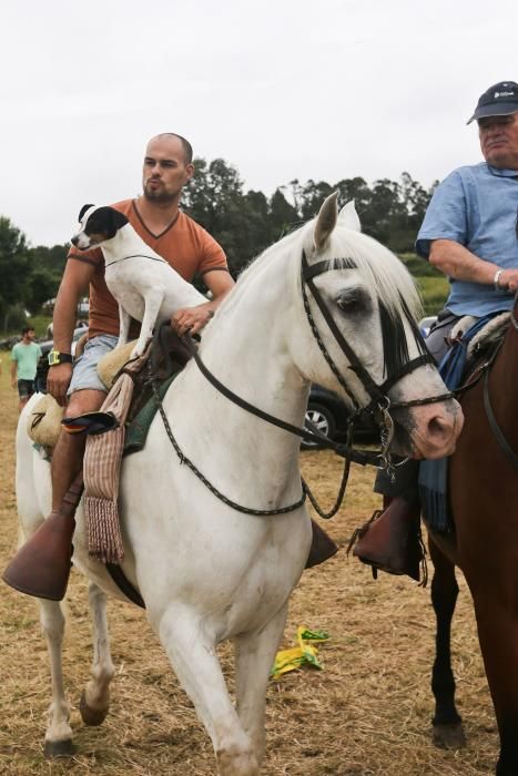 Espectáculo equestre en las fiestas de Premoño (Las Regueras)