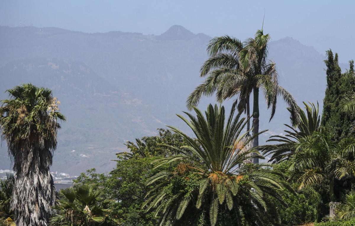 Calor en Gran Canaria (03/07/26)