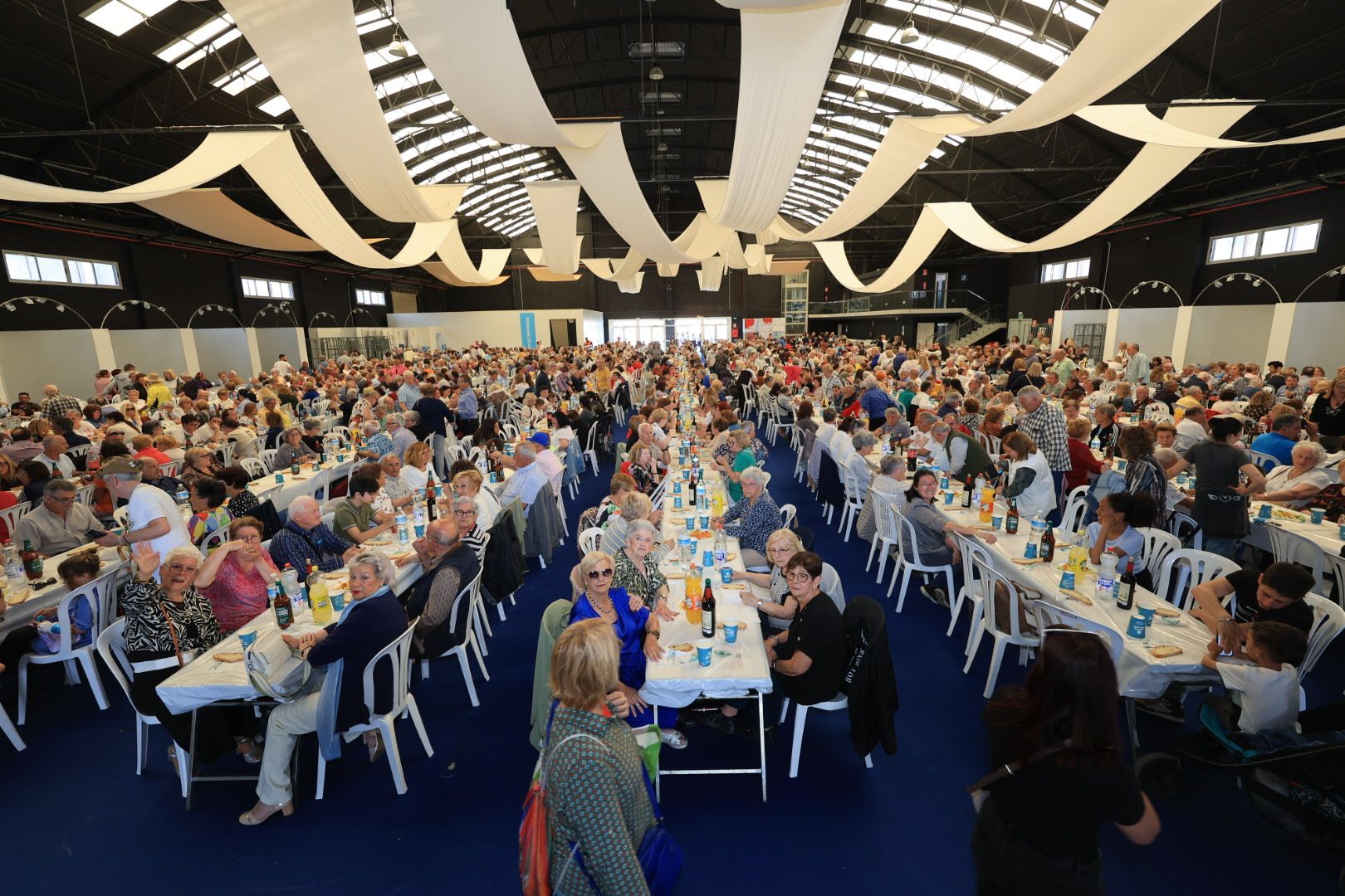 FOTOGALERÍA I Las imágenes de la sexta jornada (miércoles) de las fiestas patronales de Sant Pasqual en Vila-real