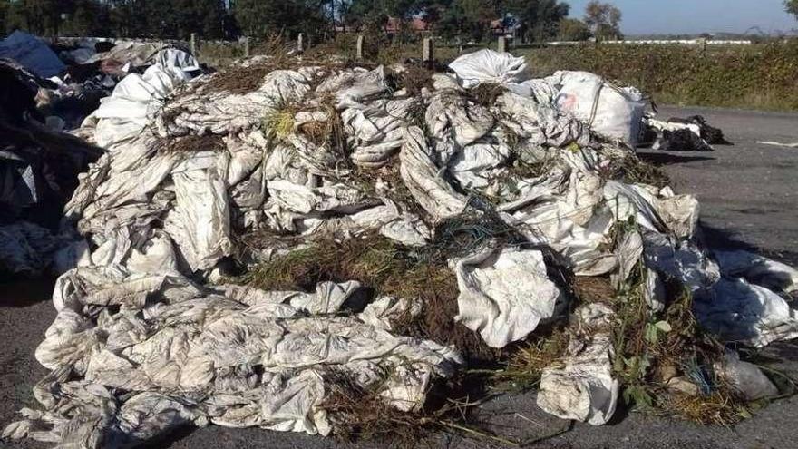 Plásticos agrícolas depositados, ayer, en Rodeiro, junto a otros desperdicios.