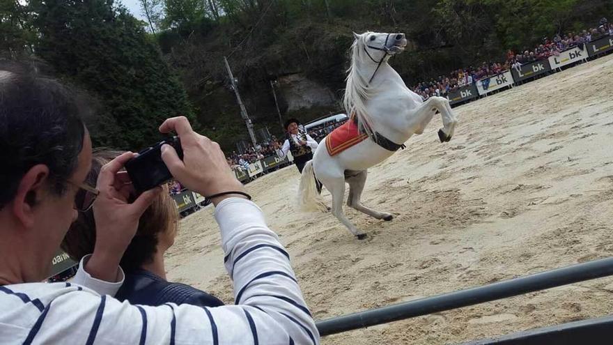 Los asturcones ganan al rebujito en Infiesto