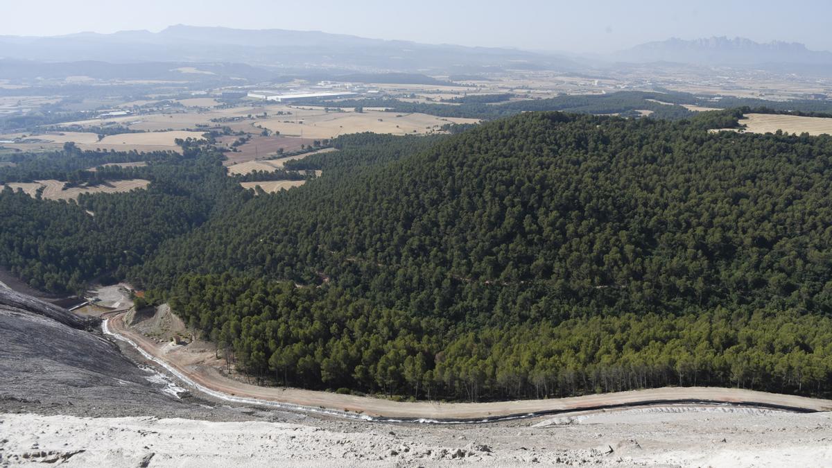 Vessant sud del Cogulló, on ICL proposa instal·lar el camp fotovoltaic