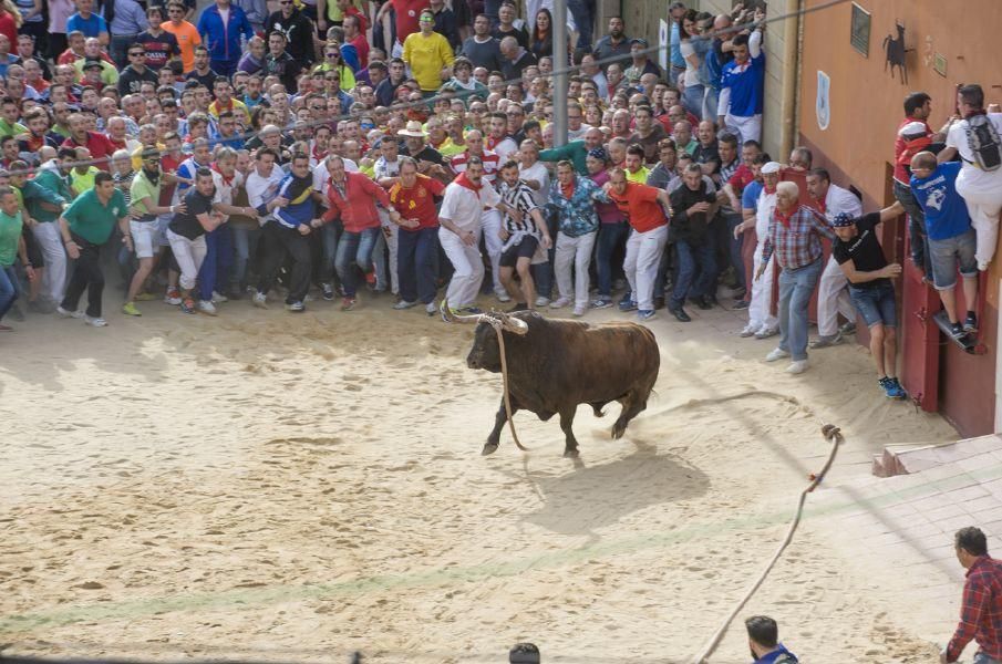 Carrera del Enmaromado 2016