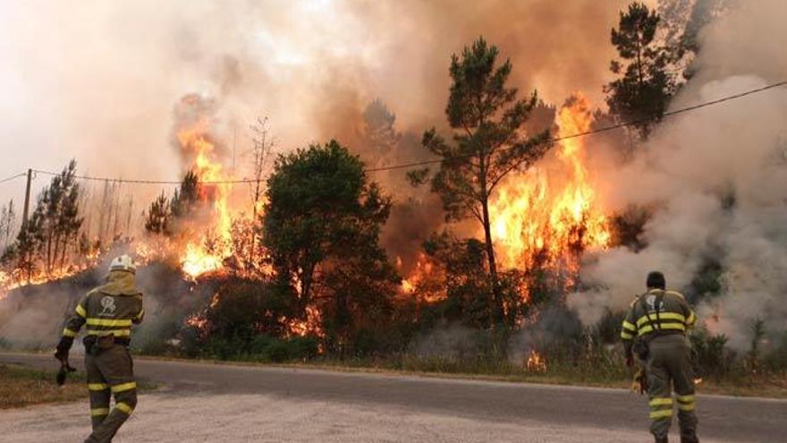Las llamas vuelven a azotar el monte de Ourense // NICK