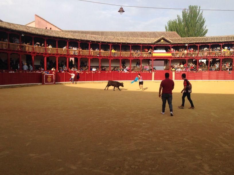 Fiestas Toro: Encierro urbano y suelta de vaquilla