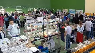 Utrillas acoge la IV Feria Internacional de Minerales, Gemas y Fósiles del 25 al 27 de septiembre