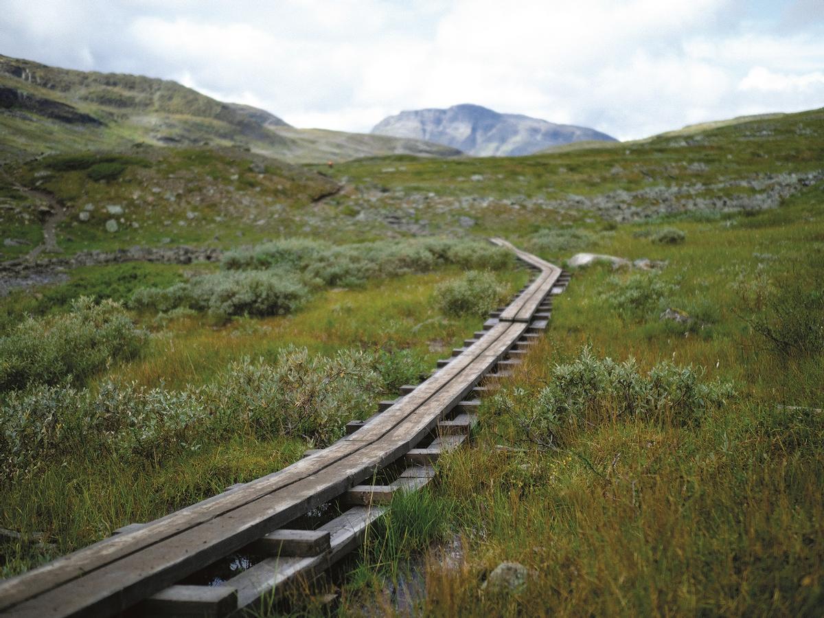 Pasarelas de madera en la ruta.