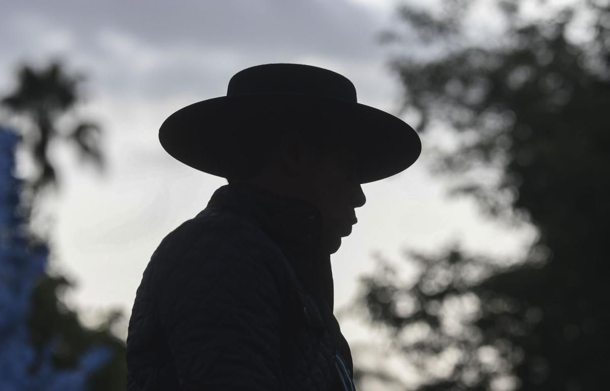 Fotogalería / Romería de Santo Domingo