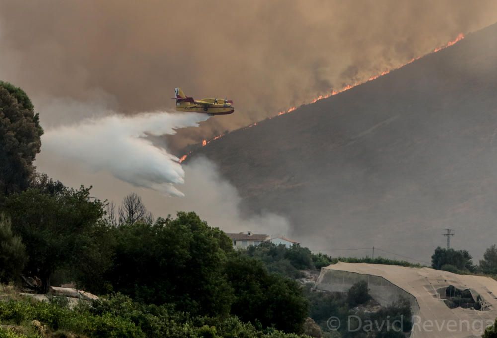 La superficie afectada abarca suelo de Bolulla, Tárbena, Callosa d´en Sarrià y Xaló