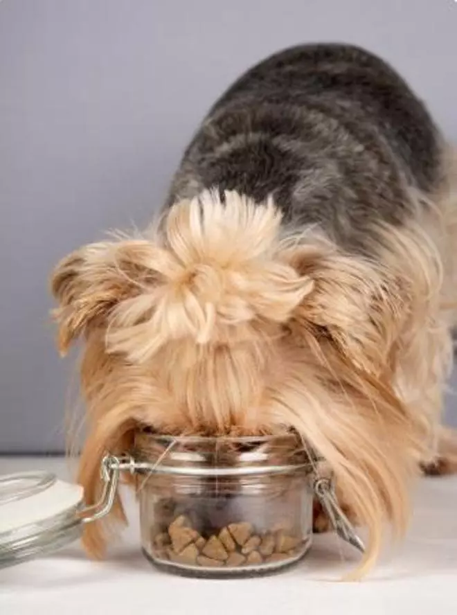 Mascotes: El perill de les al·lèrgies alimentàries
