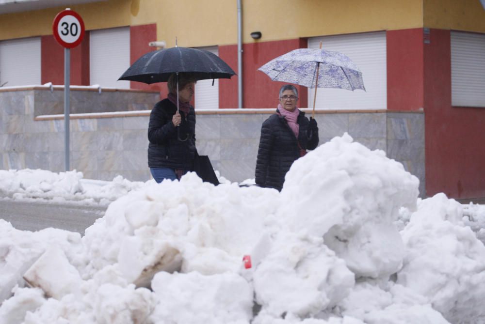 Imatges de la nevada a Sant Hilari Sacalm