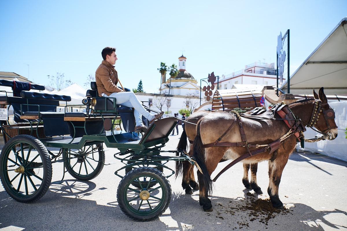 Ruta ecuestre en la VIII edición de la Feria del Vino de Tinaja.