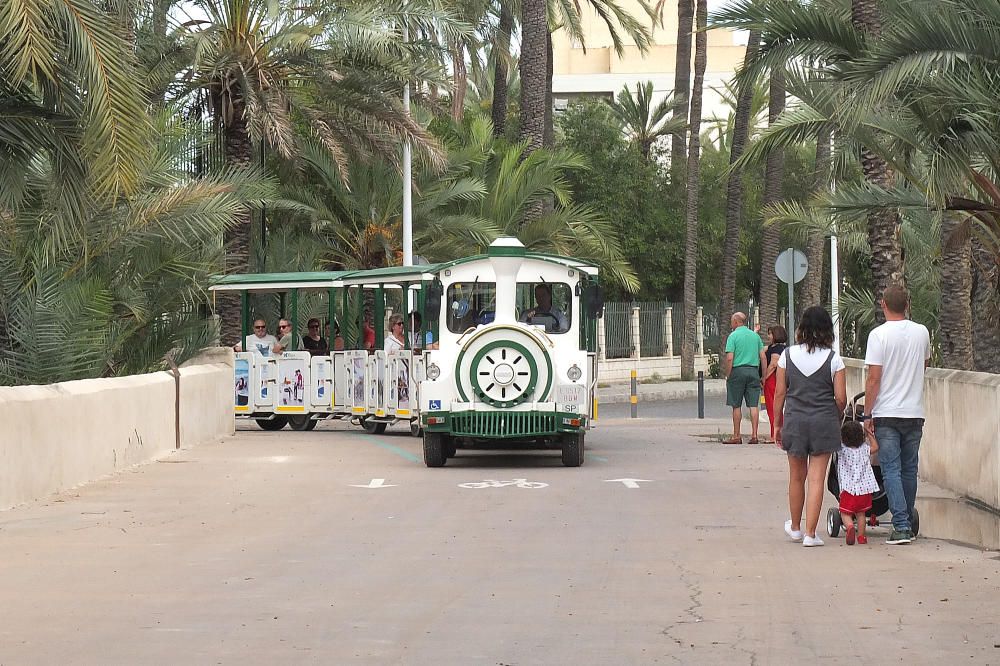 La ruta del Palmeral, abandonada