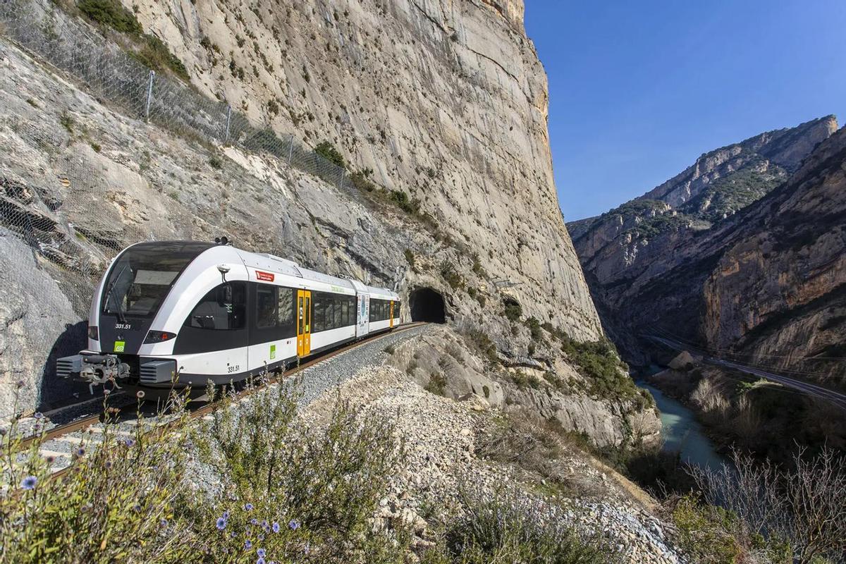 Tren panorámico en la ruta de los lagos.