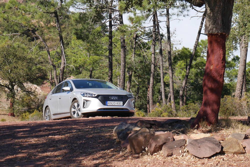 Ruta Híbrida Ioniq Plug-in