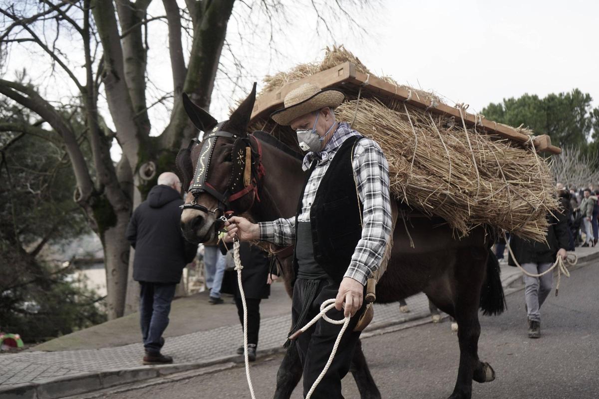 Festa dels Traginers de Balsareny