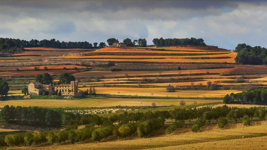 Celler del Roure: Tipicidad, origen y respeto al entorno