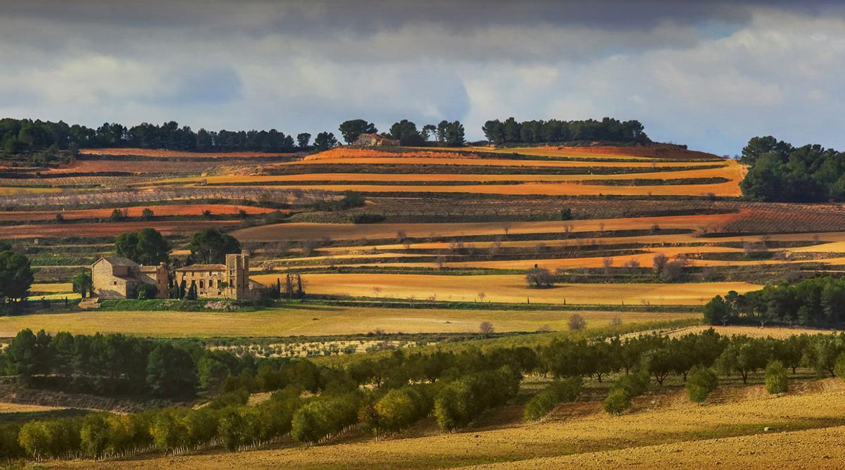 La bodega Celler del Roure se ubica en les Terres dels Alforins, conocidas como ‘la Toscana valenciana’.