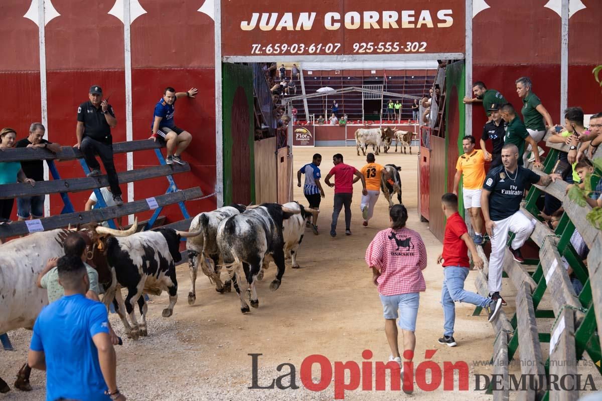 Primer encierro de la Feria del Arroz de Calasparra