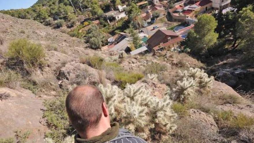 El Cactus de Arizona ha robado terreno a plantas autóctonas.