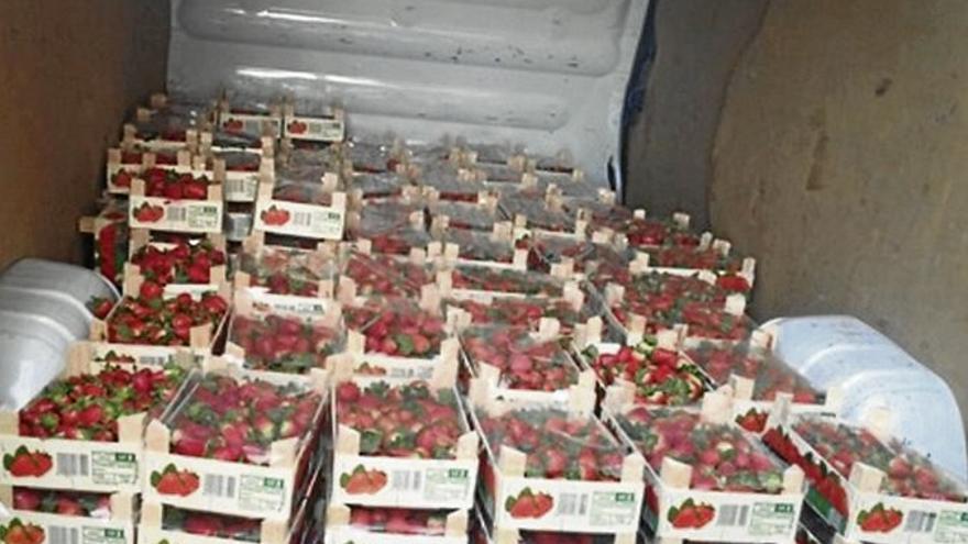 Donan 169 cajas de fresas tras ser robadas