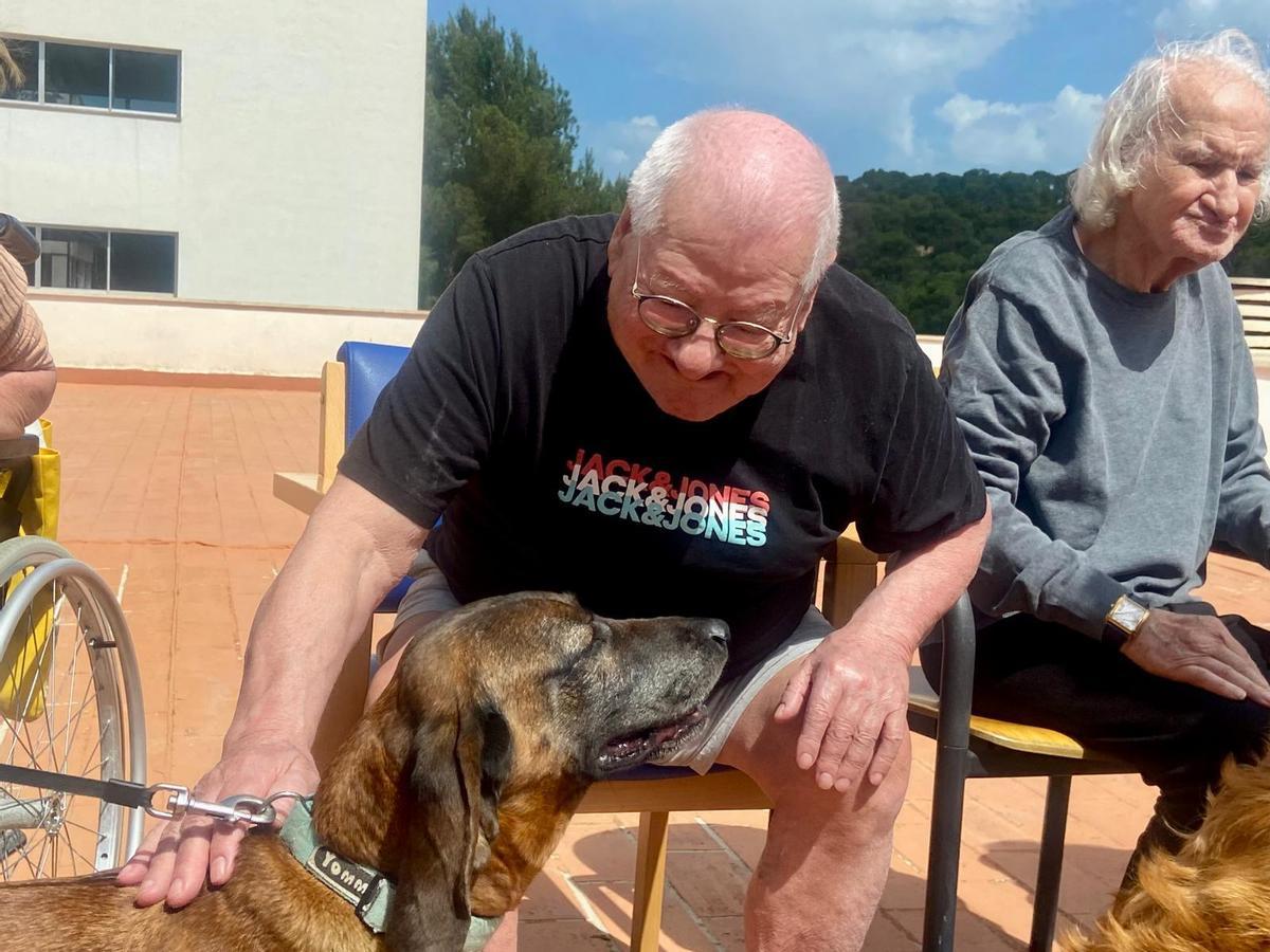 La unidad canina de los Bomberos de Palma visitan la residencia Bonanova