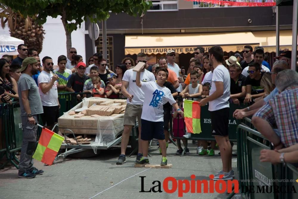 Campeonato del mundo de lanzamiento de 'Ladrillo d