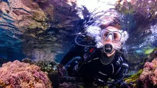 Cuevas submarinas para amantes del buceo: las mejores de la Región de Murcia