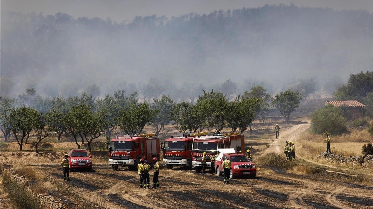 zentauroepp48819050 incendio ribera ebre190627162505