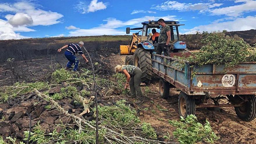 Los pueblos afectados por el fuego de Lober de Aliste suman 42.600 fincas