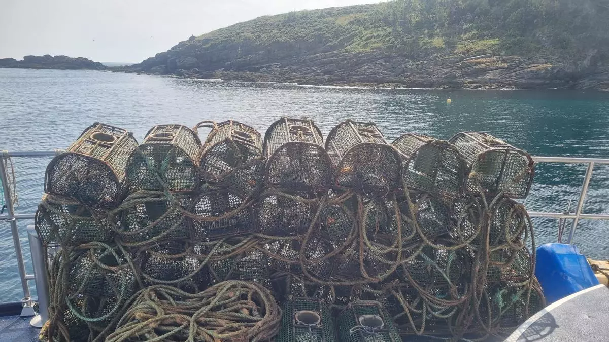 Piratas en Galicia: Gardacostas intercepta otros 500 aparejos y 214 kilos de producto ilegal en Arousa y Pontevedra