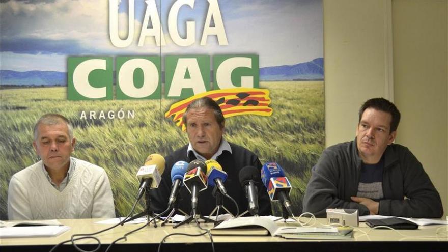 UAGA se persona en el caso de Igor El Ruso y estudia pedir responsabilidades