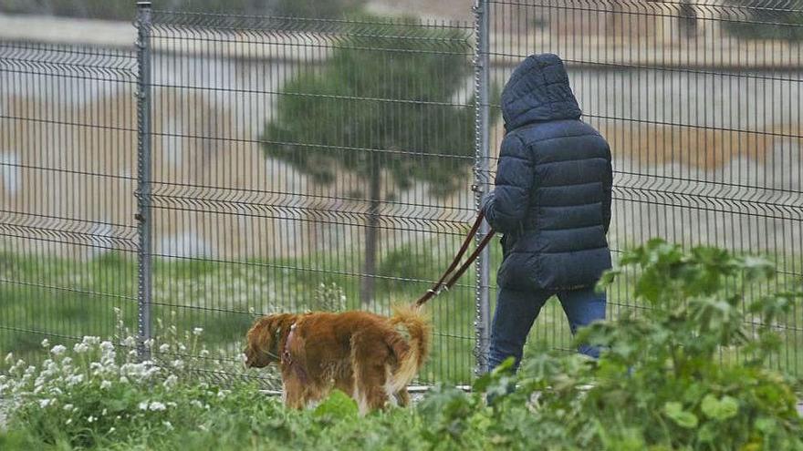 Una senyora passeja un gos a Manresa durant el confinament