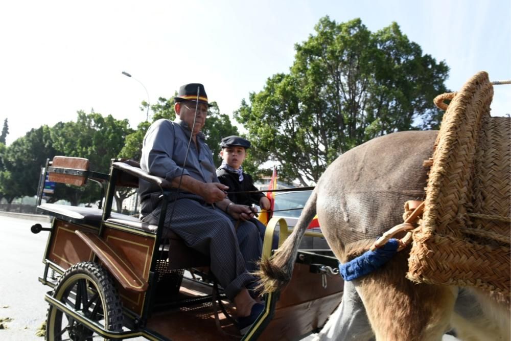 Ruta en carro al corazón de la Huerta