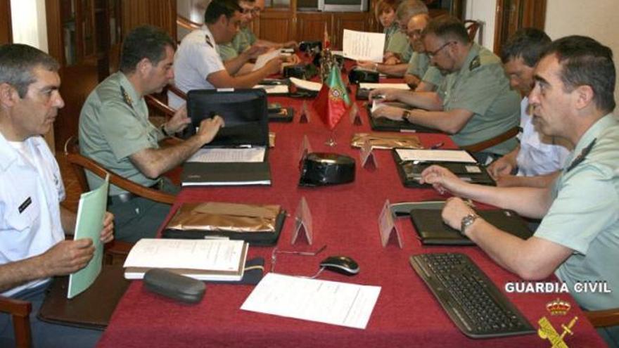 Uno de los perros recuperados por la Guardia Civil.