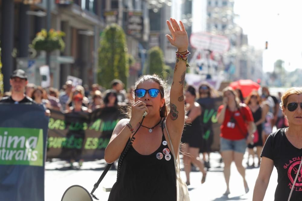 La manifestación organizada por la Asociación Animalista arrancó en la Plaza de la Estrella, finalizando en la Plaza del Ayuntamiento