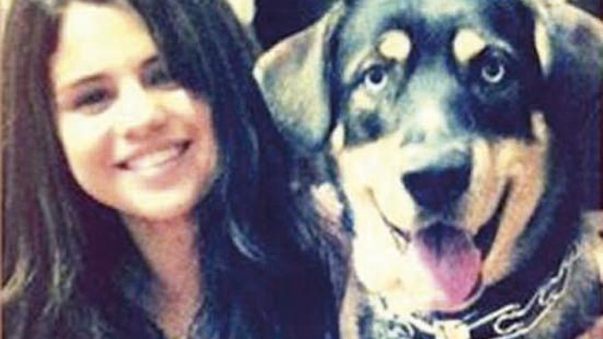 Selena Gómez, con su can &quot;Baylor&quot;.