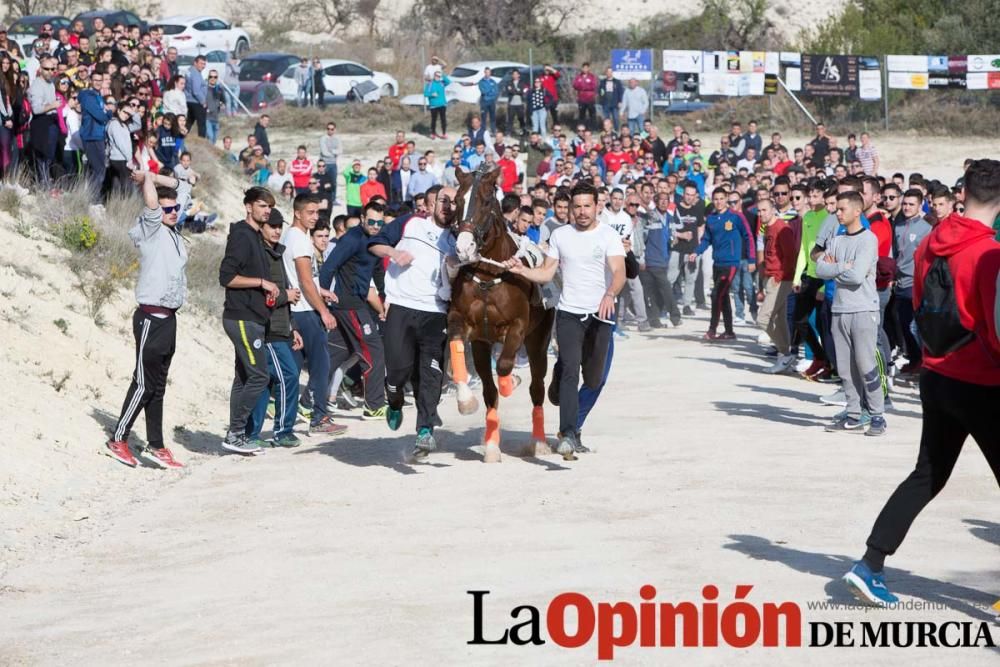 Entrenamiento Caballos del Vino