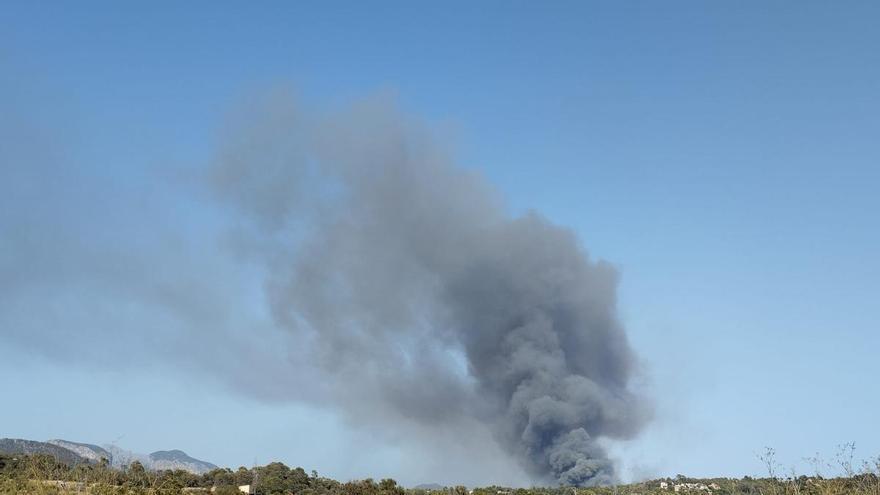 La imágenes del incendio en las vaquerías de Santa Maria, que se ha reavivado tras darse por extinguido
