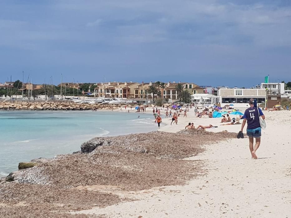 Fase 2 de la desescalada de Mallorca: Primer día con el baño autorizado en las playas