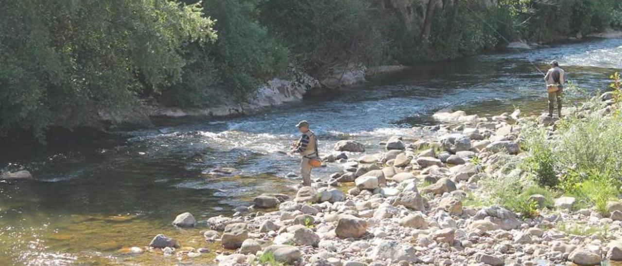 Pescadores, ayer, en el coto de Infiesto.