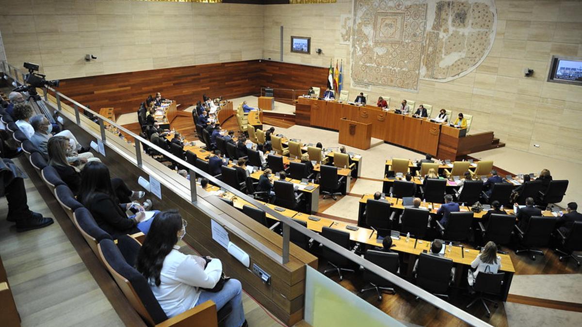 El hemiciclo de la Asamblea durante la celebración del pleno.