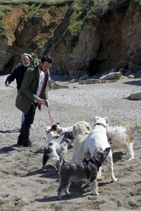 Gijón se promociona como destino vacacional para familias con sus mascotas