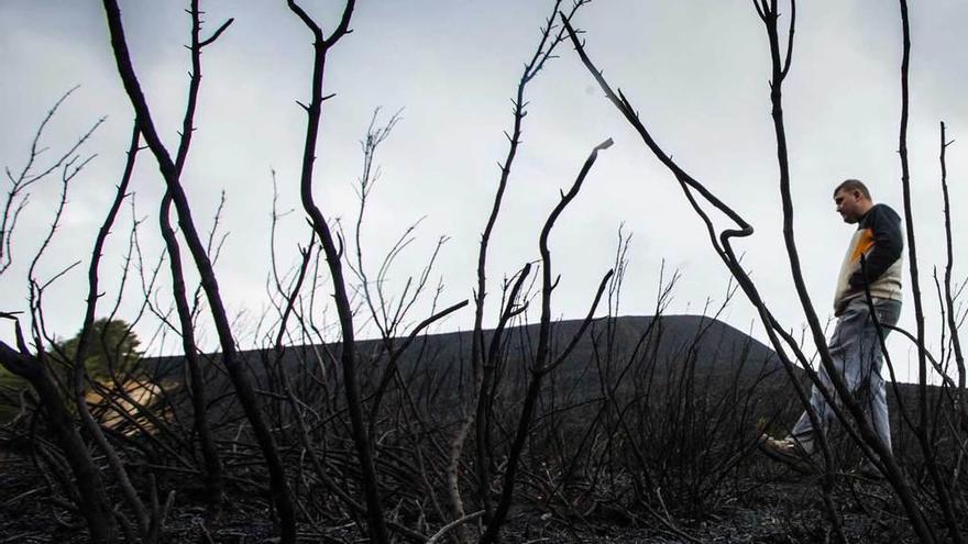 Un vecino del Suroccidente, en un terreno arrasado por el fuego.