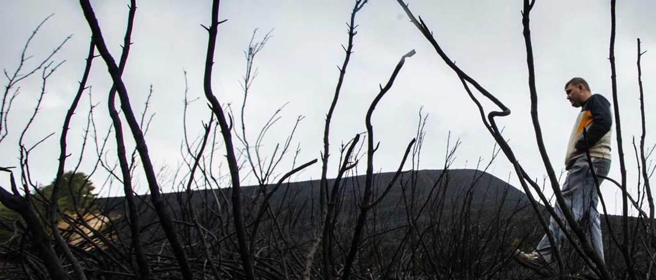 Un vecino del Suroccidente, en un terreno arrasado por el fuego.