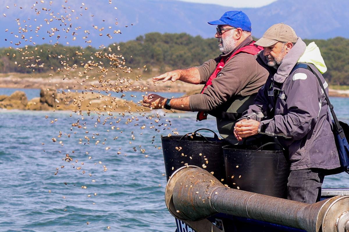 Un momento de la siembra realizada ayer.