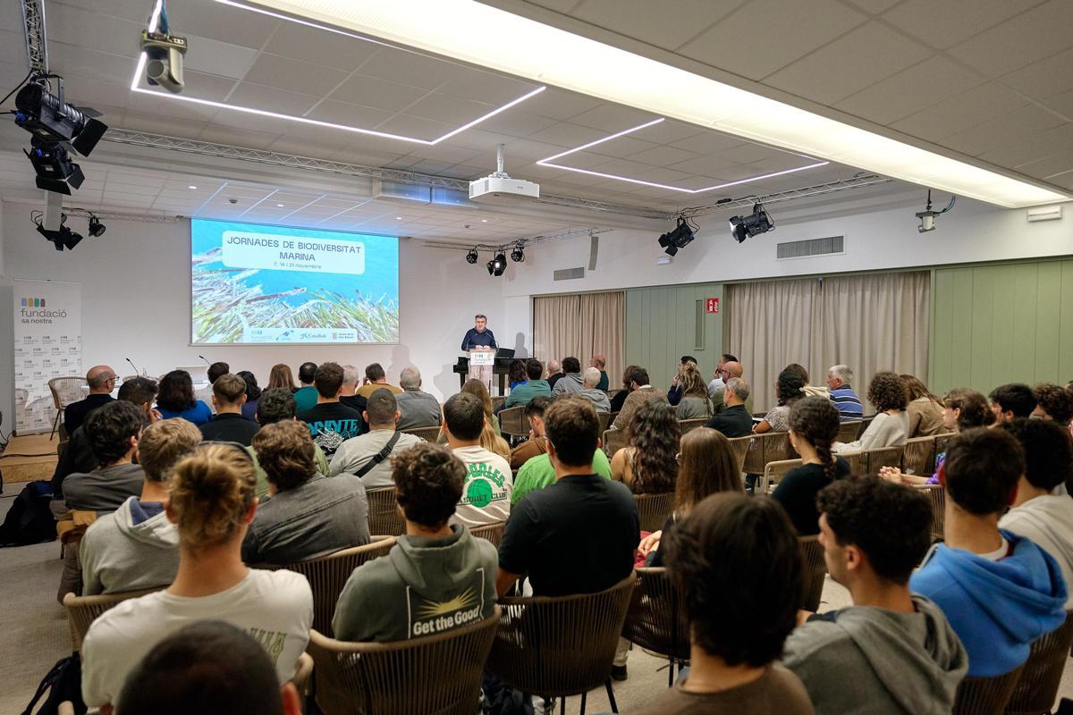 Expertos abogan por coordinar esfuerzos para la conservación de la biodiversidad marina