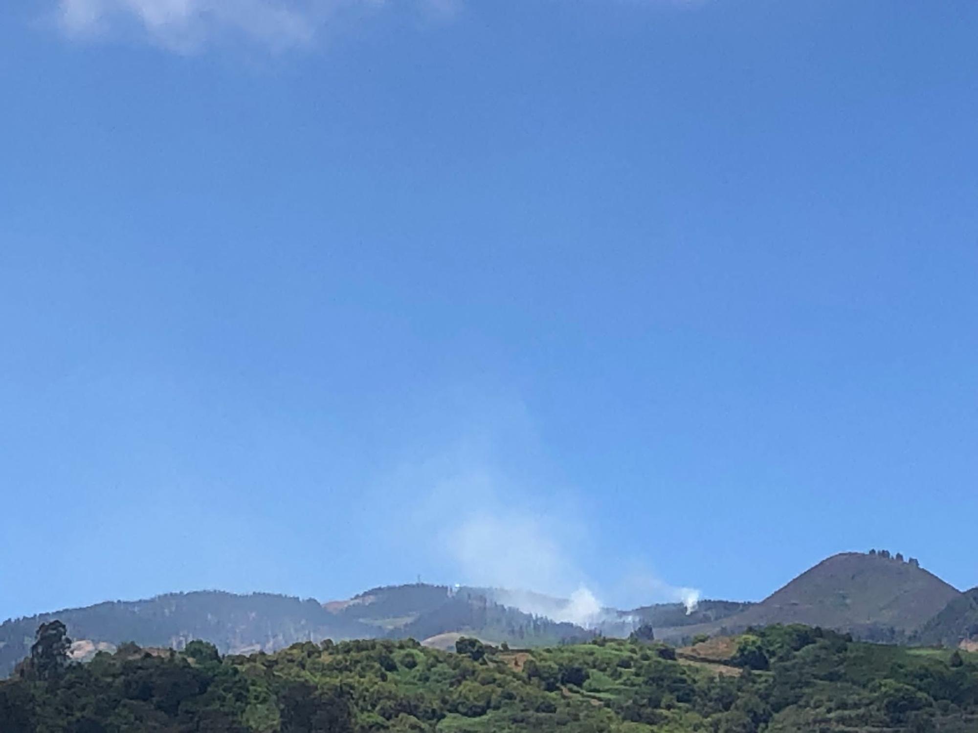 Quemas controladas en Gran Canaria (30/05/22)