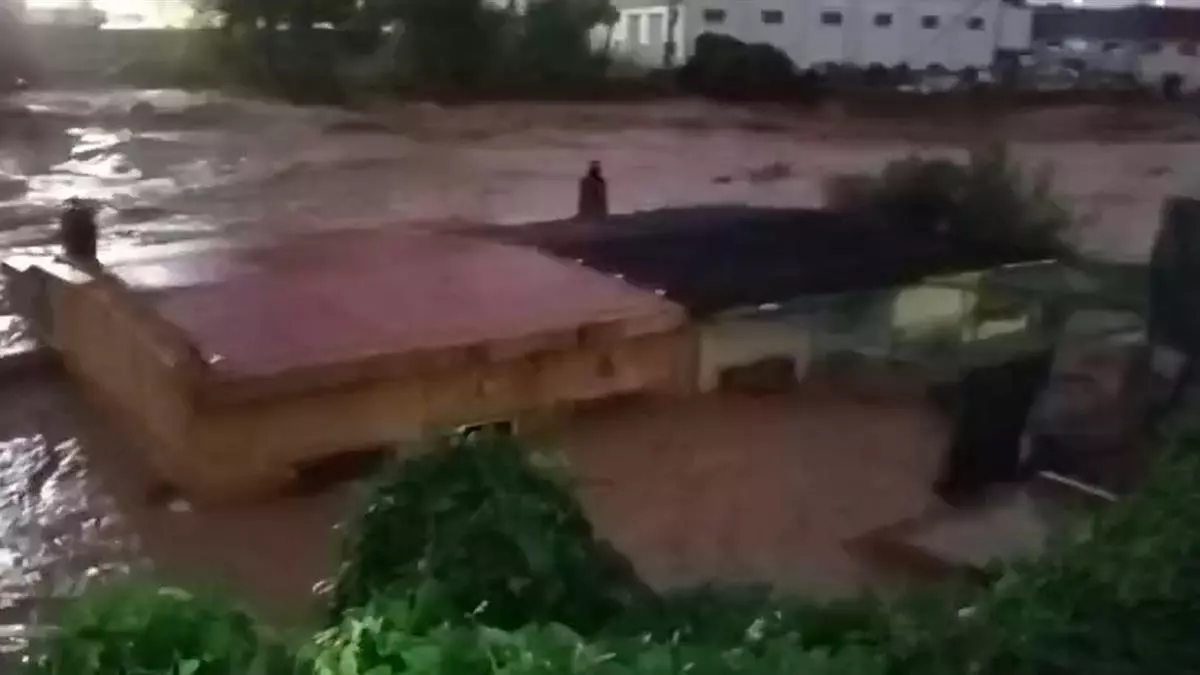 Amparo Folgado: "El barranco de l'Horteta llevaba olas a las seis de la tarde"