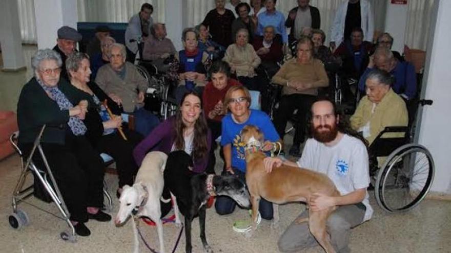 Galgos al sol visita la residencia &#039;Domingo Sastre&#039;